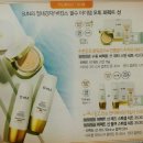 양말기획 이미지