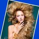 작품헤어 이미지