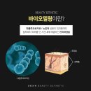 필바이오 이미지