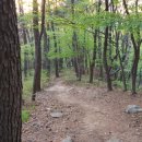 운수천계곡(1) 이미지