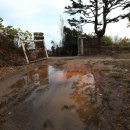 갑천초 금성분교장 이미지