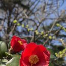 거산 이가네더덕밥 이미지