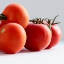 방울토마토 효능 8가지와 부작용, 방울토마토 vs 토마토 비교 이미지