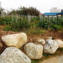 미건펜션 이미지