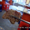 장수갈매기 이미지