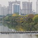 징검다리부동산공인중개사사무소 이미지