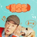 [마감] 온디맨드 코리아 구독하실분 이미지