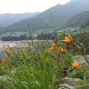 조양강 민박 이미지