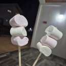 망상오토캠핑리조트 | 망상오토캠핑리조트 허허바다후기