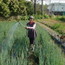 만선농장 이미지