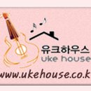 우쿨렐레(중,고급) 이미지