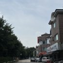 네일바이성 | 일산 속눈썹펌 네일바이무제 영양듬뿍 노글루펌 후기