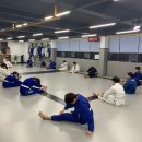 미르 주짓수 유도관 이미지