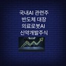 소프트메드(SOFT MED) | 국내AI 관련주 반도체 대장 의료로봇AI 신약개발주식