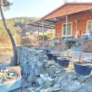 돌담농장 이미지