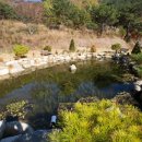 매봉힐링쉼터오토캠핑장 이미지