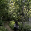 (주)가야랜드 달빛야영장 | 가을이야기/F1963/테라로사/가야랜드/김해달빛야영장/성심당/경주천년의숲/태화강국가정원/해리단길/딤타오