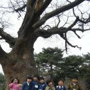 시립꿈나무어린이집 이미지