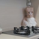 로얄PC방 이미지