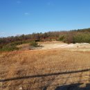 영남자동차정비공장 이미지