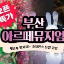 디오브 해운대 호텔 엘본더스테이 이미지