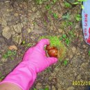 신덕농장 이미지