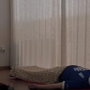 요가오스튜디오