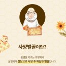 차봉극 벌꿀