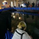 용인실내바다낚시터 | 서울 근교 데이트코스 추천 용인실내바다낚시터 힐링 체험