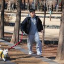 팅커벨 이미지