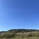 대흥캠핑낚시 | 화성 데이트 / 궁평항 / 궁평유원지 / 화성 놀거리 / 화성 당일치기 / 궁평항 새우구이