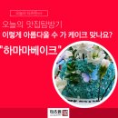 하마마베이크 이미지