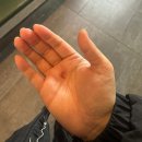 가남동물병원 이미지