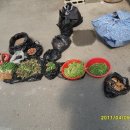 매포4 이미지