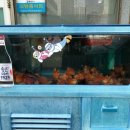 새풍화식당 이미지