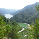 클로버관광여행사(클로버관광) 이미지