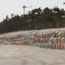 모래개해변 한겨레