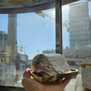 횃불세탁소 이미지