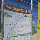 시골한우마트 | 2027년 24회 양평산수유한우축제 NO광고AI후기