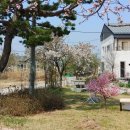 여주-1100 이미지