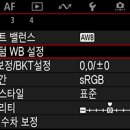 밸런스(Balance) 이미지