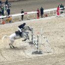 전북특별자치도 장수군 천천면 게시대 | 장수승마장 2025 WINTER Schooling Show 승마대회 장애물 부문 구경!