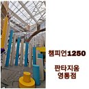 7세,4세 난이도 높은 키즈카페! 챔피언1250 수원