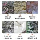 황금산업 | 황금이네 어린이 아이용 배도라지즙 2개월 솔직후기 루솔과 비교분석 최저가 할인구매팁까지