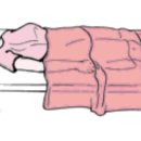 motion(모션PT) 이미지