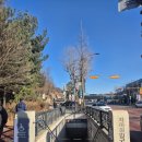 녹문 | 리움미술관 1(4층 -3층전시)(26.1.29.)