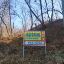 김가네곱창전골 이미지