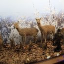 인제산촌민속박물관 이미지