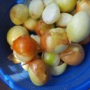 삼학건강원 이미지