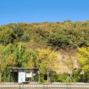 알찬여행㈜ 이미지